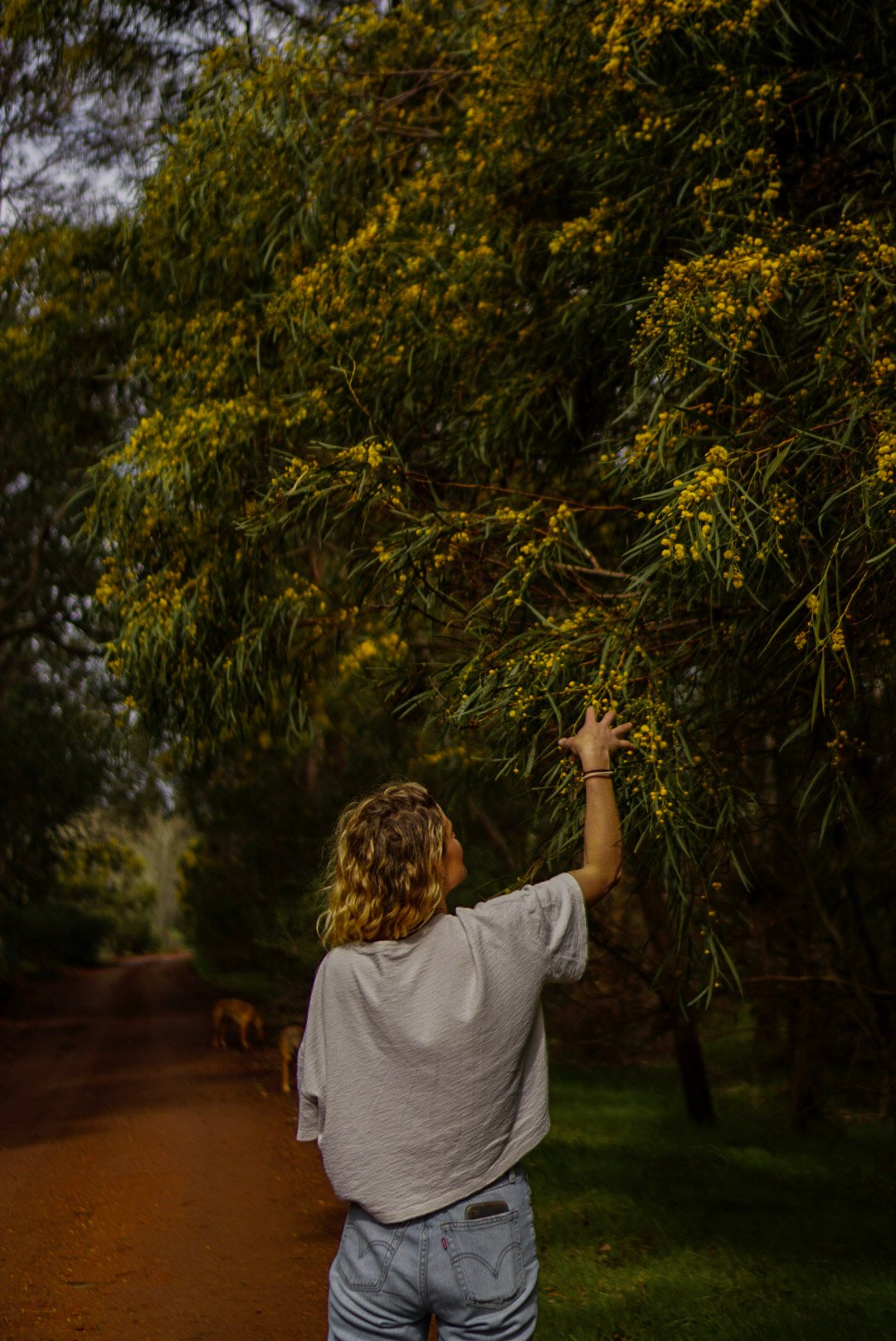 4 Nature Immersion Option1 (1)