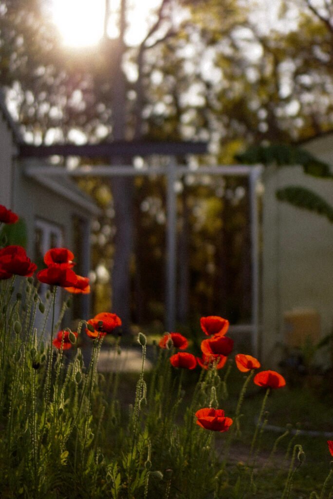 84b00225-c9c7-4d4a-9913-00709aa2abcb